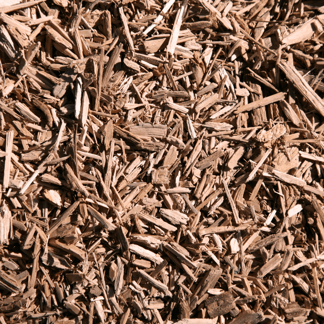 A. M. Logging LLC